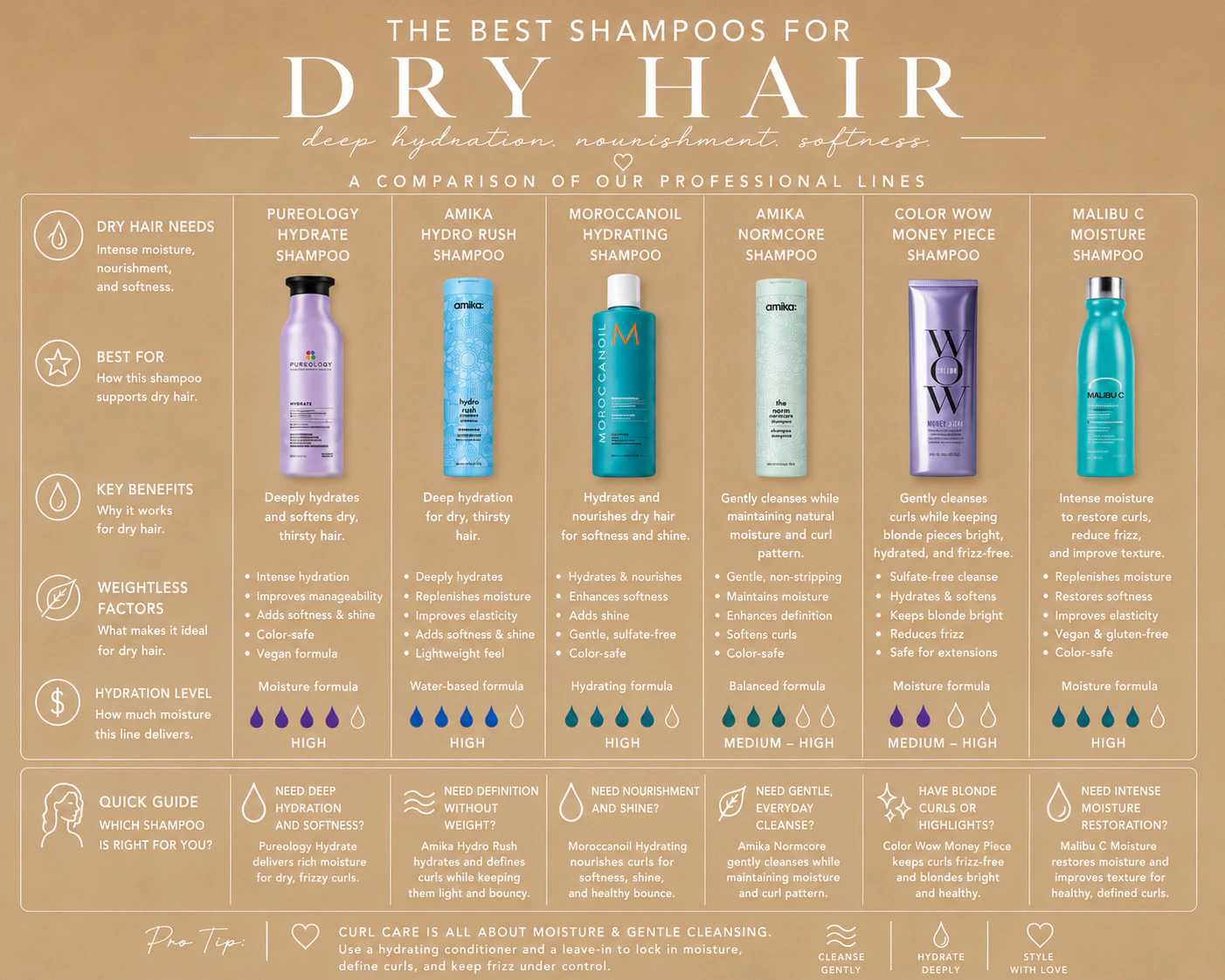 Wide professional shampoo comparison guide for dry hair, including Pureology, Amika, Moroccanoil, Color Wow, and Malibu C recommendations.